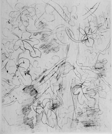 Água-Forte Dufy - Figuier