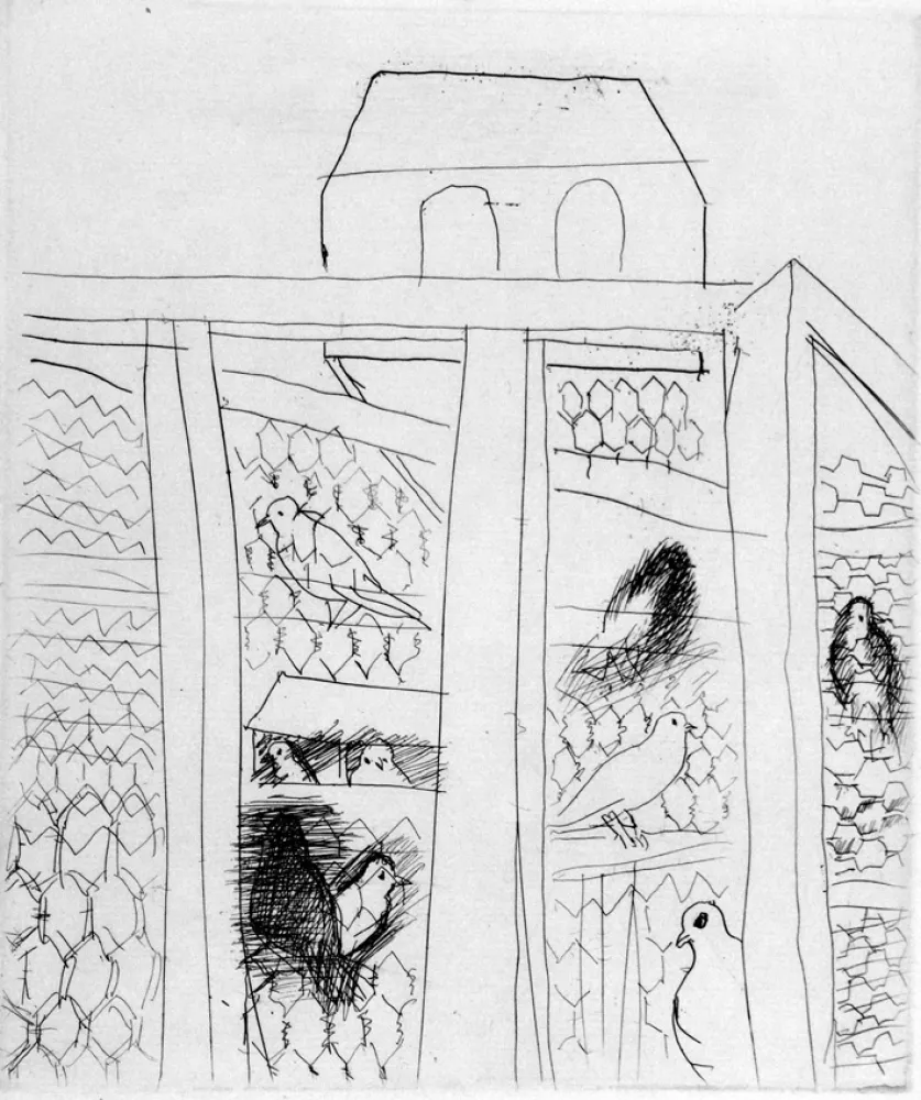 Água-Forte Dufy - Pigeonners II