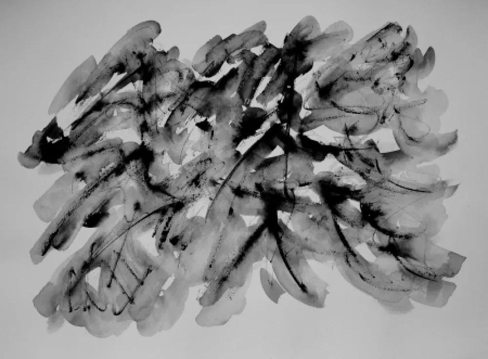 Sem Técnica Dumont - LE VERCORS / THE VERCORS