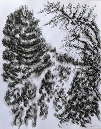 Sem Técnica Dumont - LES / THE ALPILLES