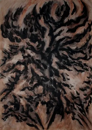 Sem Técnica Dumont - LES / THE ALPILLES