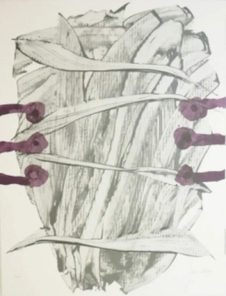 Litografia Duran - Weik-kei 4