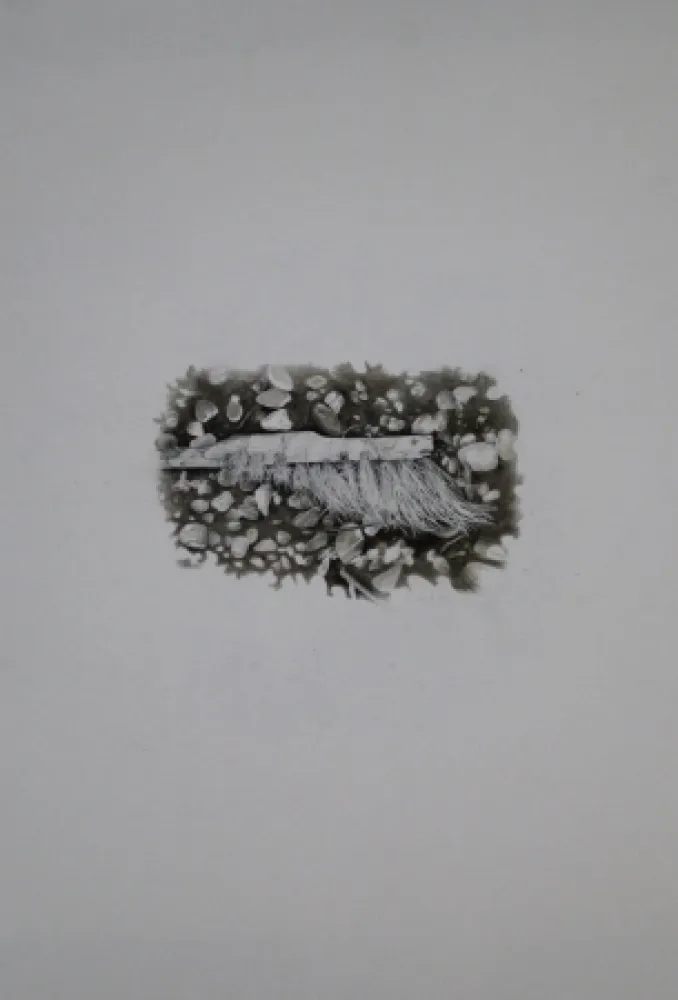 Sem Técnica Ebert - Besen