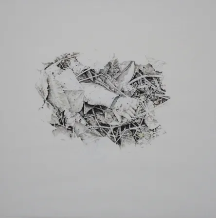 Sem Técnica Ebert - Handschuh / Glove