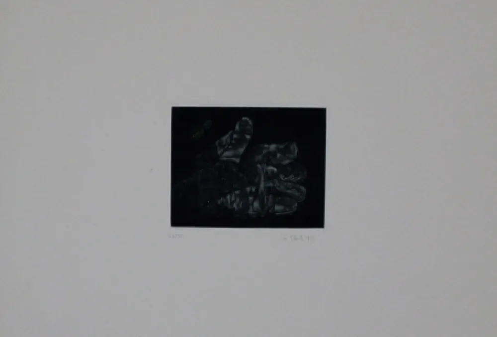 Meio-Tom Ebert - Handschuh / Glove