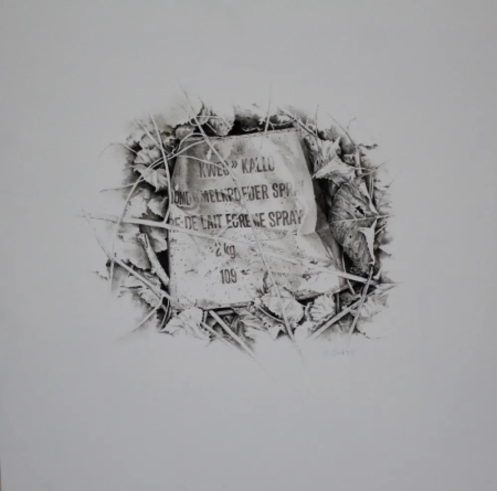 Sem Técnica Ebert - Komposition mit Efeu