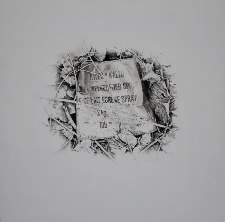 Sem Técnica Ebert - Komposition mit Efeu