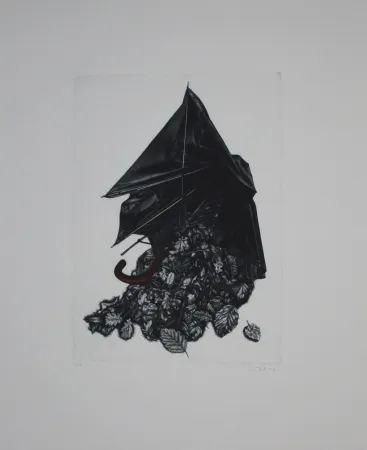 Meio-Tom Ebert - Schirm und Blättern