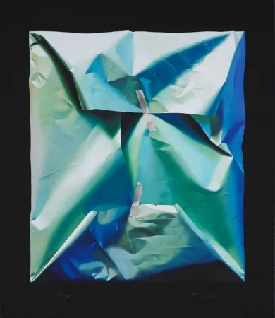 Gravura Digital Edelmann - The visual Pathway to Green