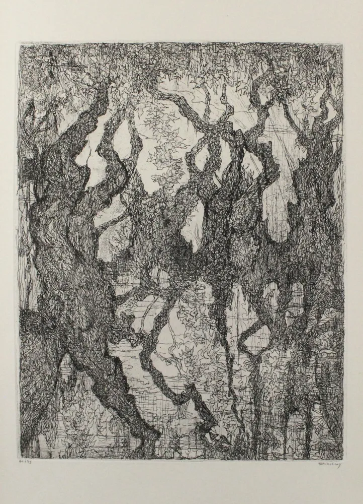 Água-Forte Eliasberg - Die Platanen des Pelion