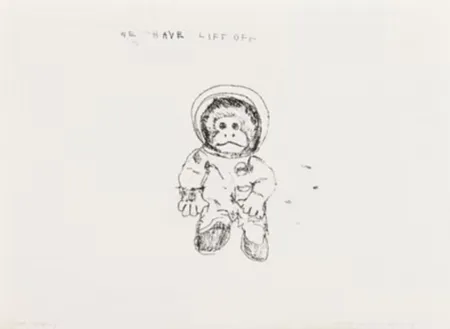 Múltiplo Emin - Space Monkey