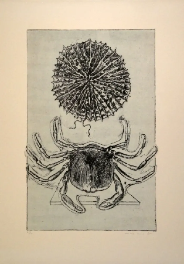 Livro Ilustrado Ernst - Histoire naturelle