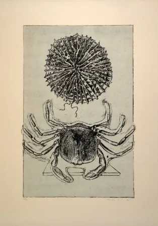 Livro Ilustrado Ernst - Histoire naturelle