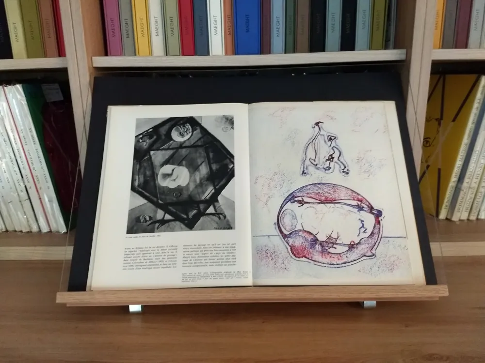 Livro Ilustrado Ernst - Hommage