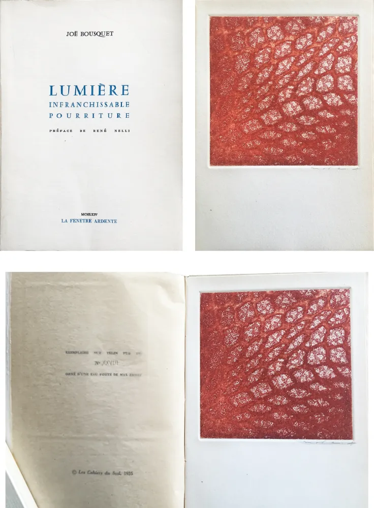 Água-Forte E Água-Tinta Ernst - Joë Bousquet : LUMIERE INFRANCHISSABLE POURRITURE (1964).