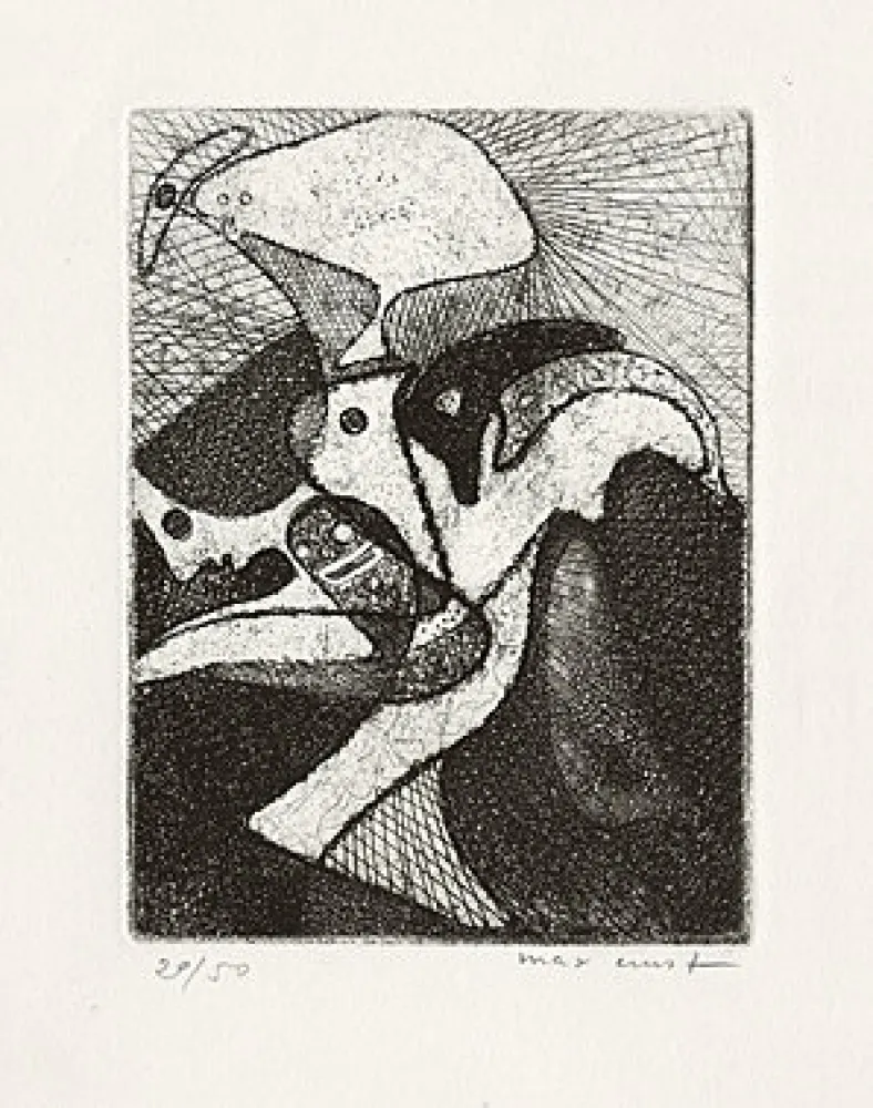 Livro Ilustrado Ernst - 