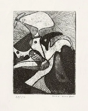 Livro Ilustrado Ernst - 