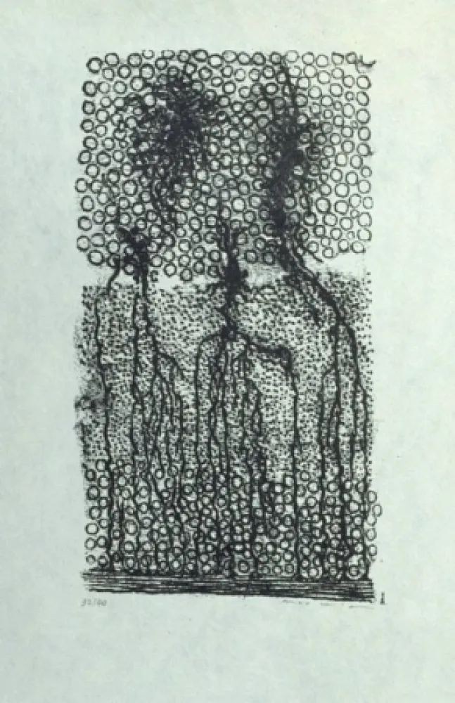 Litografia Ernst - Sans titre