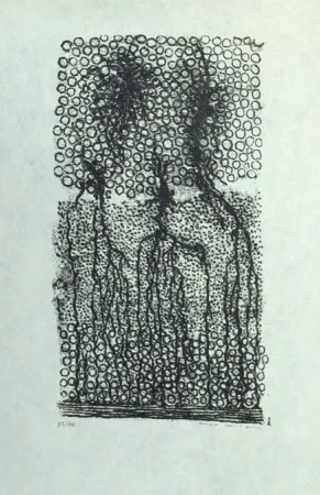 Litografia Ernst - Sans titre