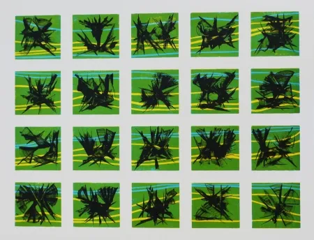 Litografia Ernst - Terra Incognita 10