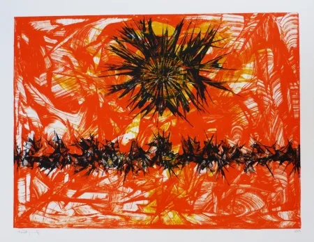 Litografia Ernst - Terra Incognita 12