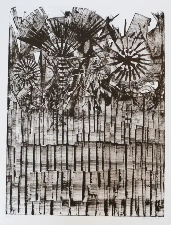 Litografia Ernst - Terra Incognita 9