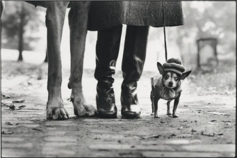 Fotografia Erwitt - New York City