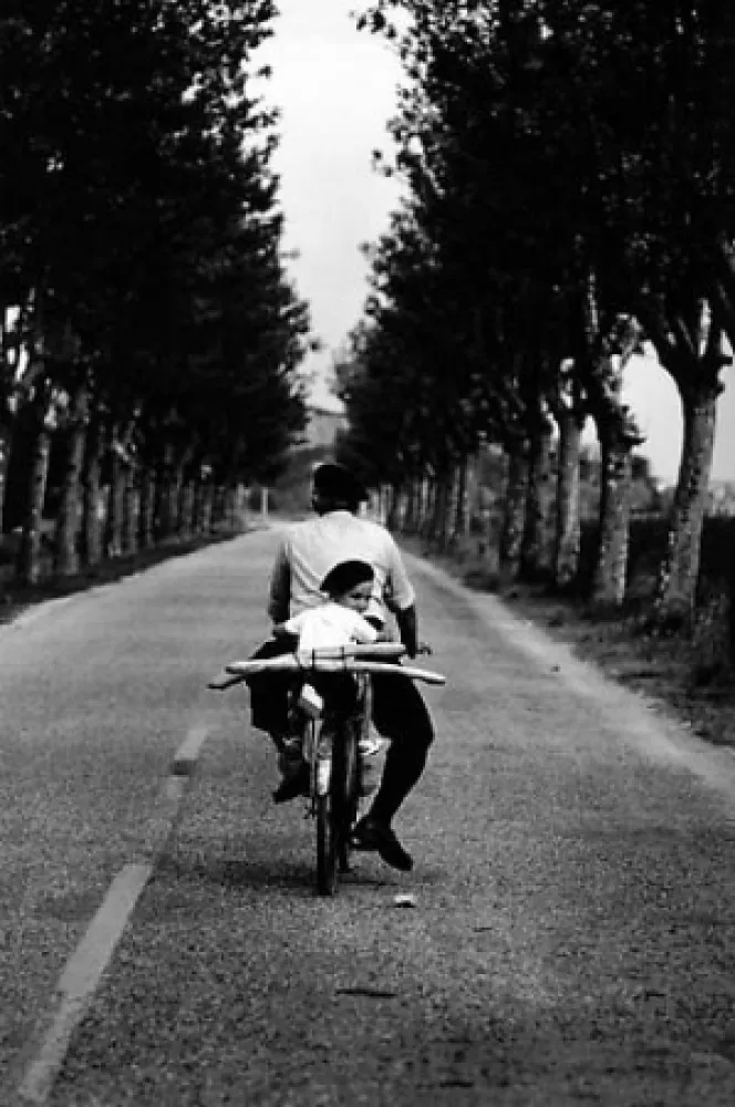 Fotografia Erwitt - Provence