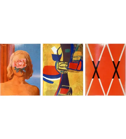 Livro Ilustrado Esteve - 3250-2