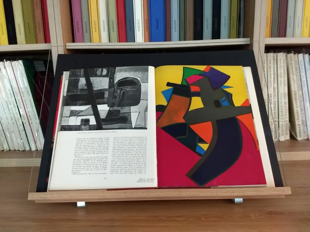 Livro Ilustrado Esteve - Hommage