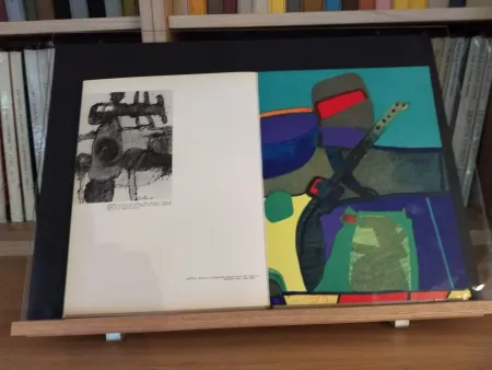 Livro Ilustrado Esteve - No 39