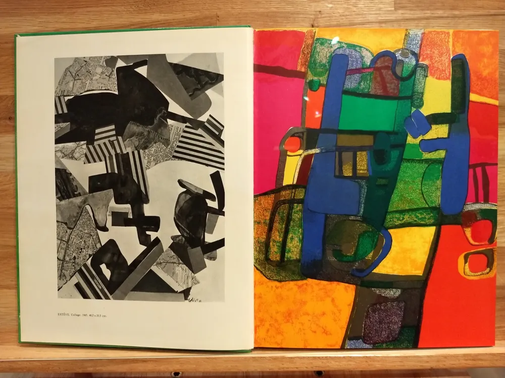 Livro Ilustrado Esteve - Xxe no33