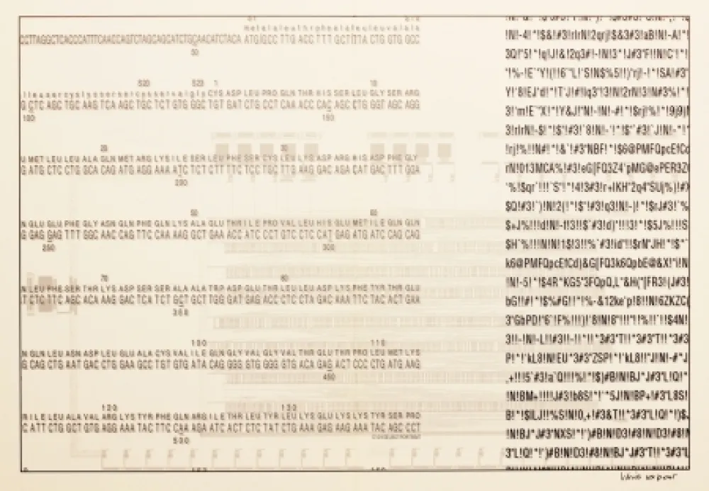 Serigrafia Export - Selbstporträt (Self Portrait)