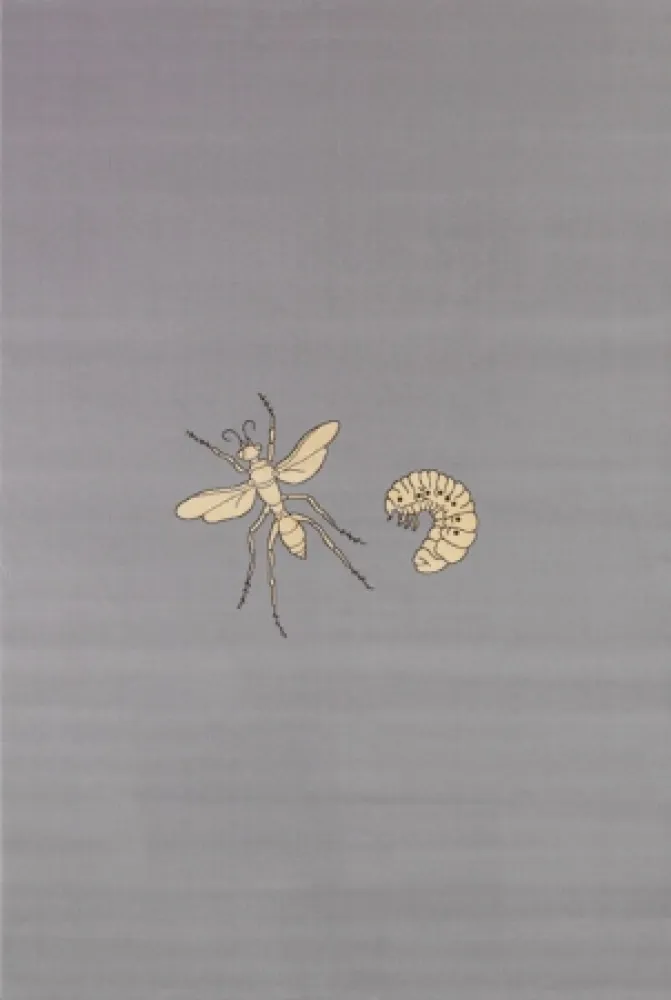 Múltiplo Fabre - Fly