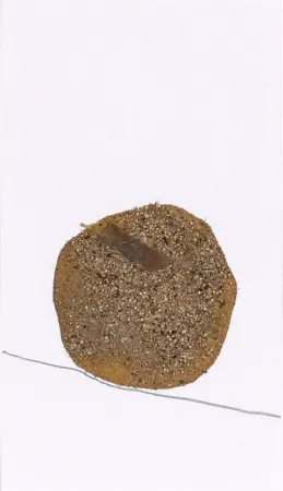 Sem Técnica Fabre - Je marche pendant 7 jours et 7 nuits