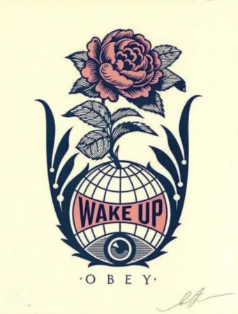 Múltiplo Fairey - Wake Up Earth