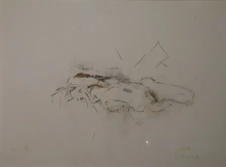 Monotipia Falk - (Akt)