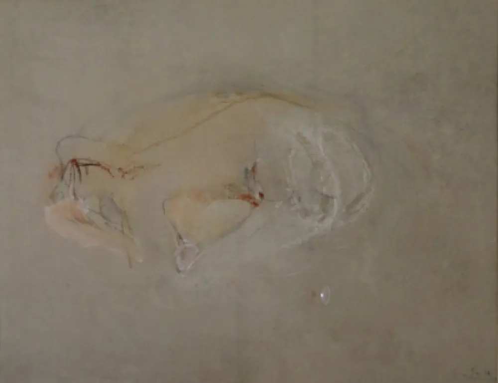 Sem Técnica Falk - (Akt)