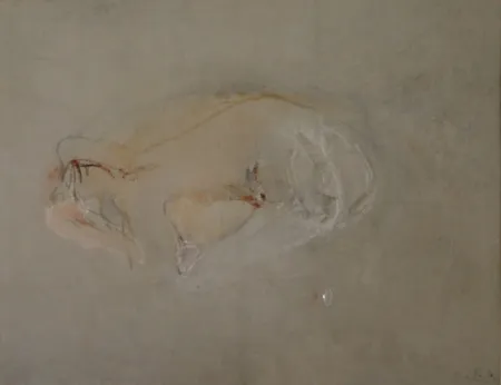 Sem Técnica Falk - (Akt)