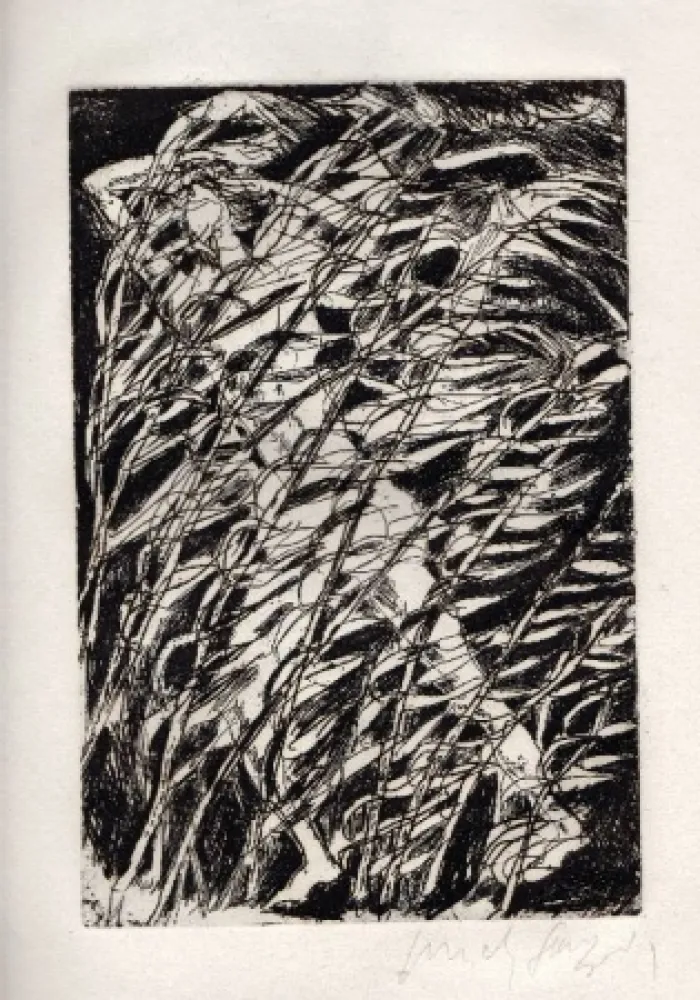 Livro Ilustrado Fazzini - Inni