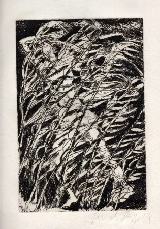 Livro Ilustrado Fazzini - Inni