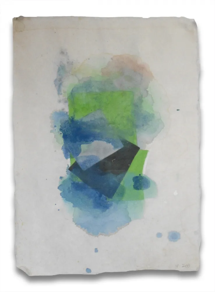 Sem Técnica Feinberg - Blur