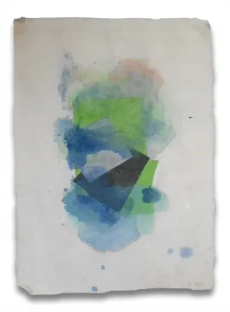 Sem Técnica Feinberg - Blur