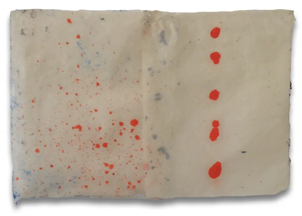 Sem Técnica Feinberg - DD3.15