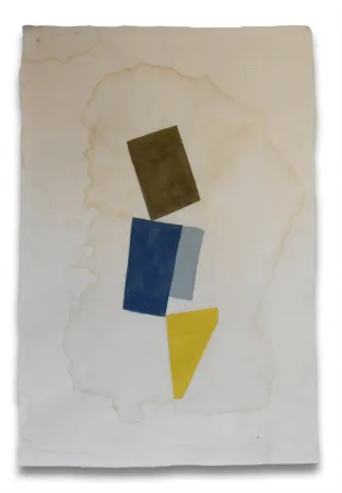 Sem Técnica Feinberg - P1.14