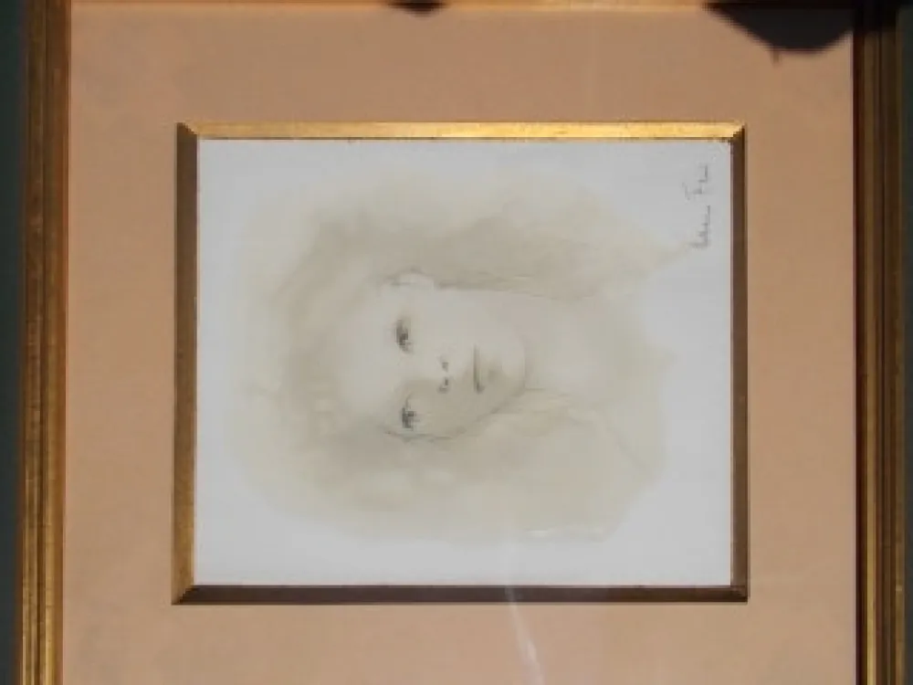 Ponta-Seca Fini - Le visage