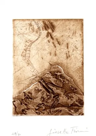 Livro Ilustrado Fioroni - Il titolo