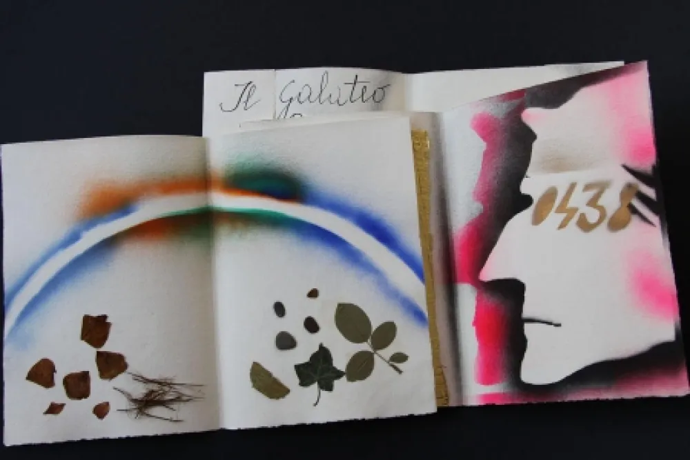 Livro Ilustrado Fioroni - Sonetto di veti e iridi