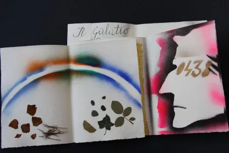 Livro Ilustrado Fioroni - Sonetto di veti e iridi