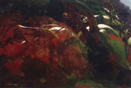 Fotografia Fischli - Ohne Titel (FW Funghi 19), 1998. Aus der Serie „Blumen und Pilze“.